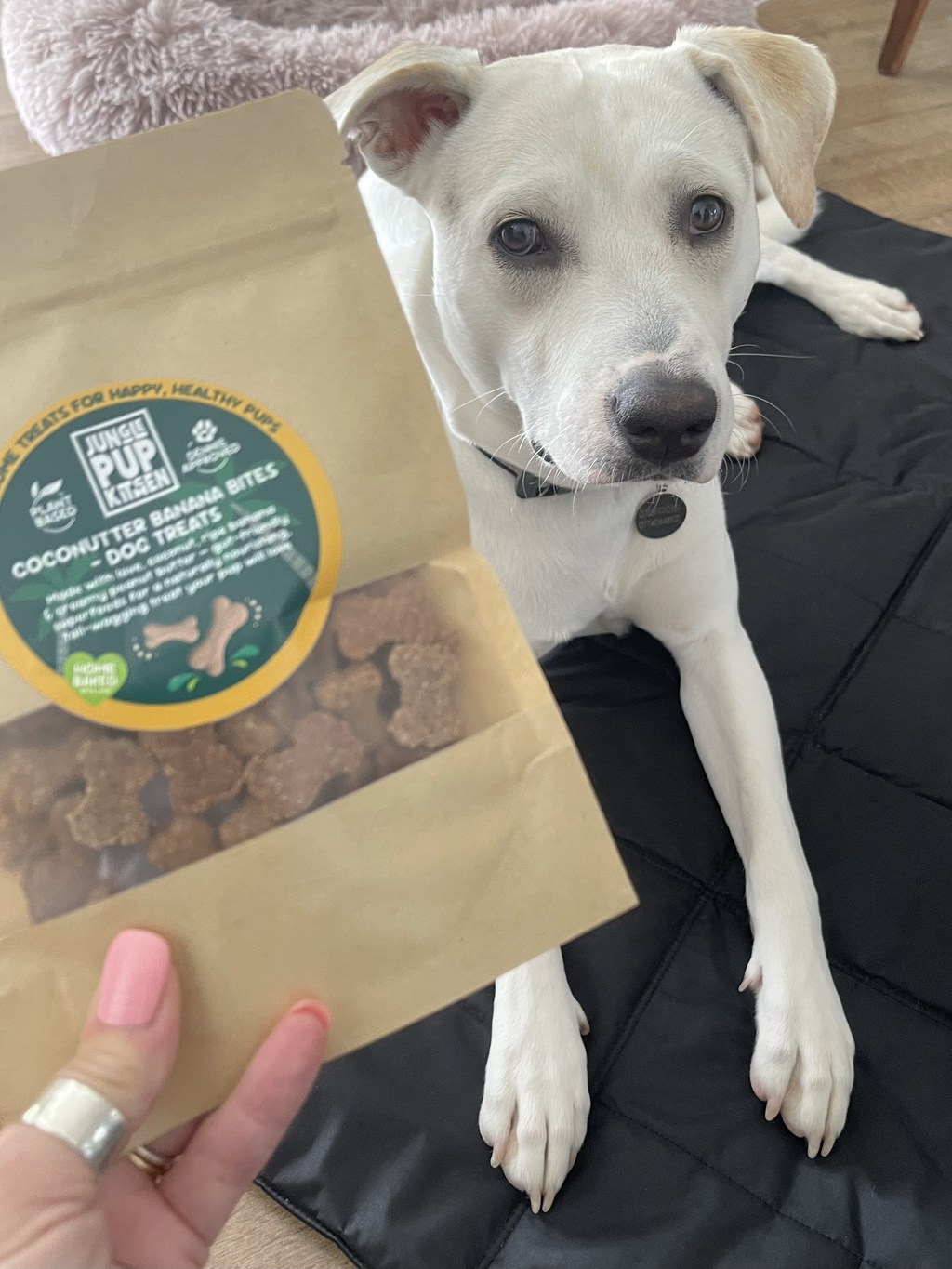 Mix & Match Treat Bundle – 3 Bags for £10