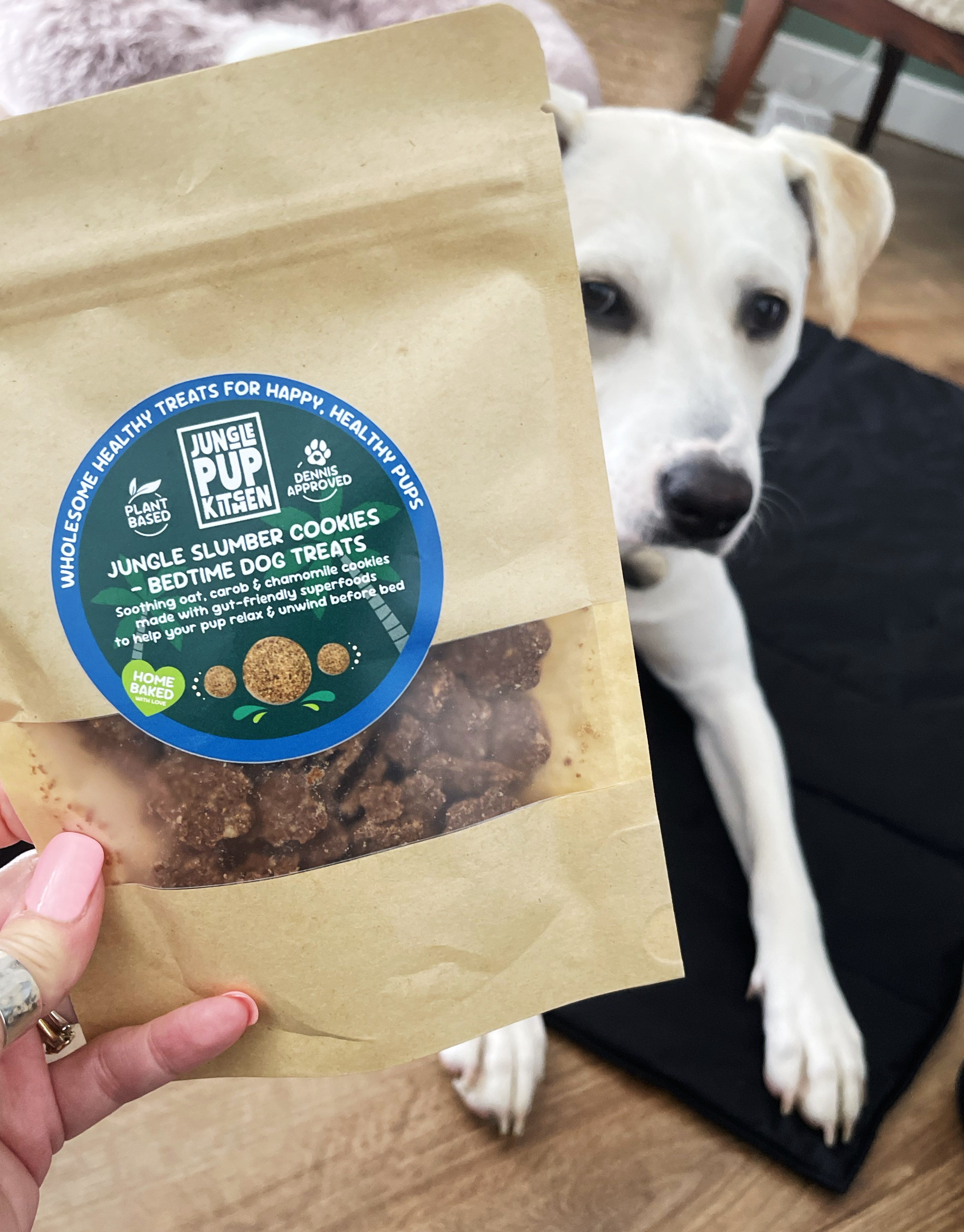 Jungle Slumber Cookies - bedtime dog treats