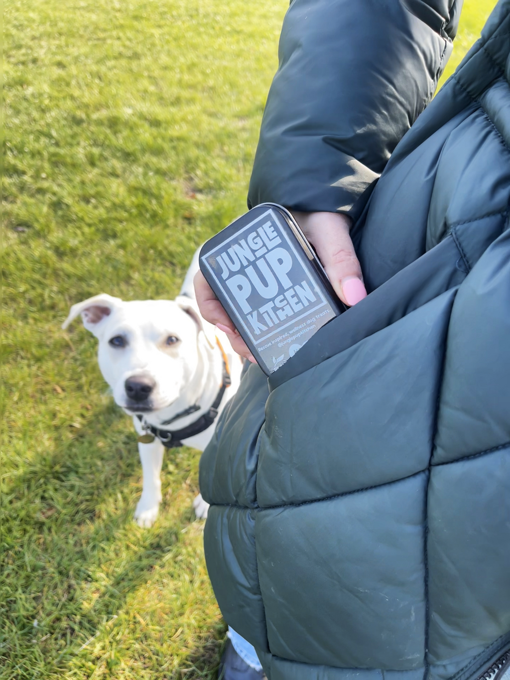 Reusable Treat Tin – Filled with Coconutter Banana Bites